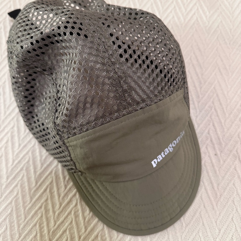 Patagonia sage cap